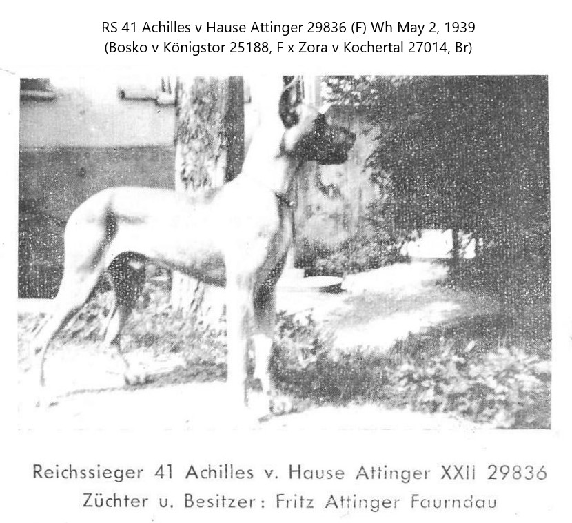 Achilles v Hause Attinger